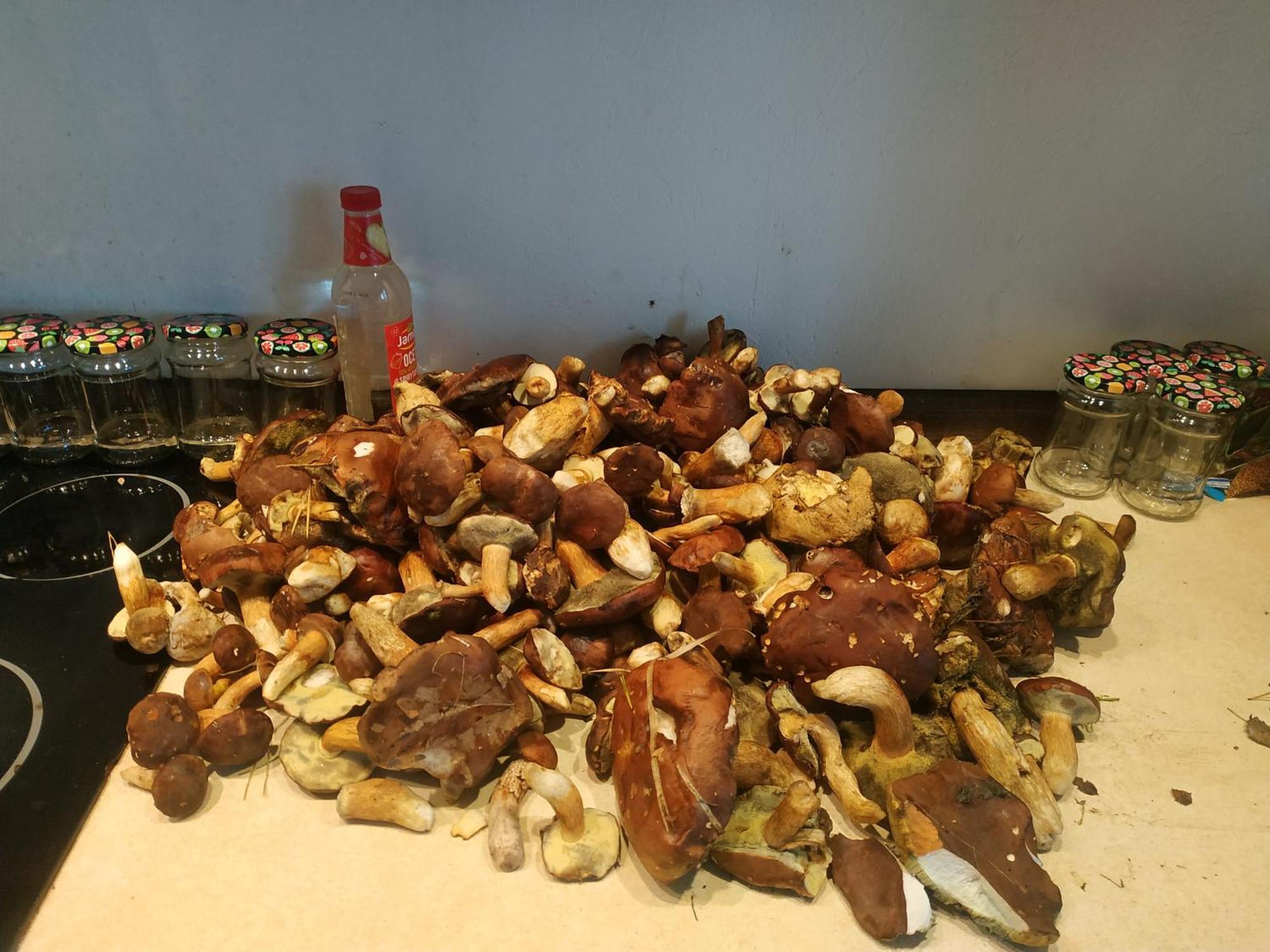Wlasny Pomost, Kajak, Kominek, Grill, Hamaki Ognisko Prywatny Raj Nad Woda, Brzozki 1 * Barkowice